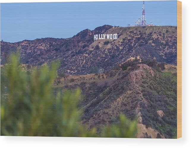 Los Angeles Wood Print featuring the photograph Hollywood Sign in the morning by John McGraw
