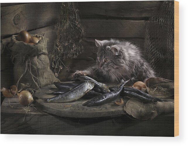 Cat Wood Print featuring the photograph Home Alone by Svetlana Pavl?vskaja