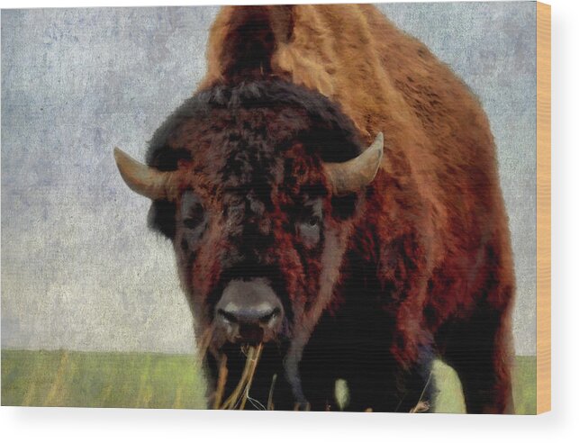 American Bison Wood Print featuring the digital art Home on the range 2 by Ernest Echols
