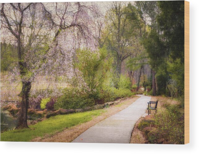 Muskogee Wood Print featuring the photograph Honor Heights Pathway by James Barber