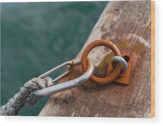 Carabiner Wood Print featuring the photograph Hooked by Marcus Karlsson Sall