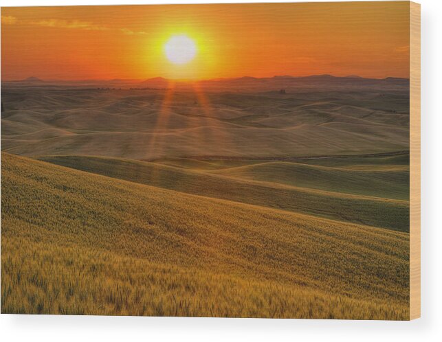 Palouse Wood Print featuring the photograph Hope and Glory by Mark Kiver