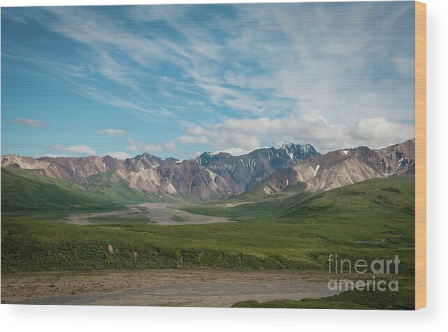 Alaska Wood Print featuring the photograph Horizon by Ed Taylor