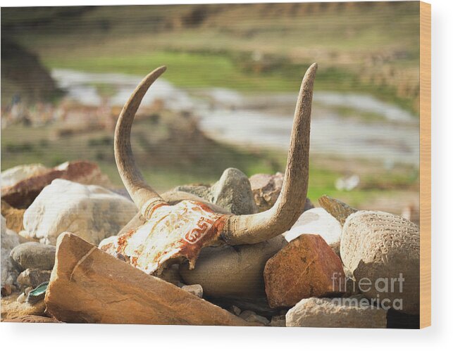 Tibet Wood Print featuring the photograph Horn and valley Tibet Yantra.lv by Raimond Klavins