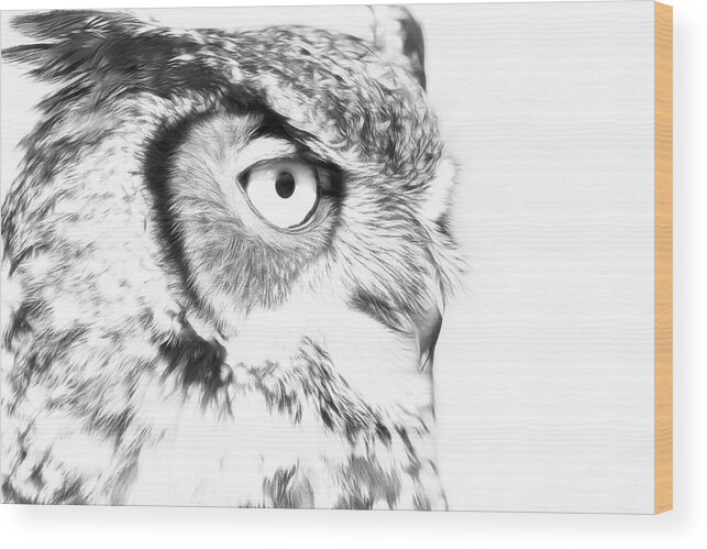 Horned Owl Wood Print featuring the photograph Horned Owl Pen and Ink by Steve McKinzie