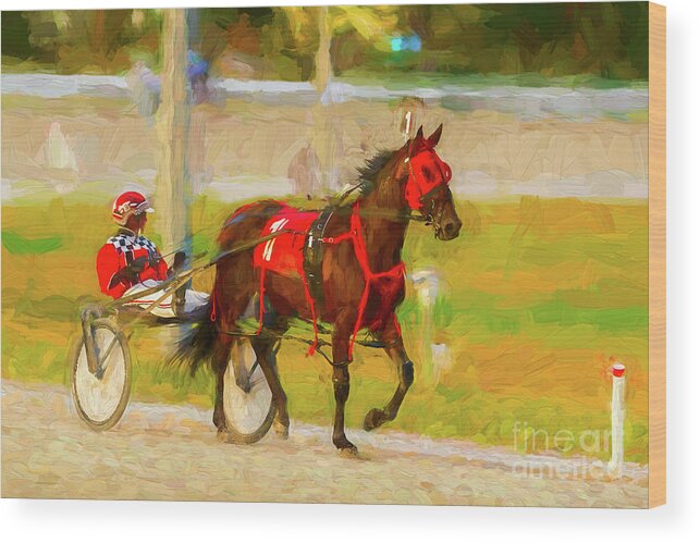 Race Wood Print featuring the photograph Horse, Harness and Jockey by Les Palenik