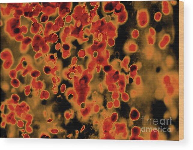 Abstract Wood Print featuring the photograph Hot Lava by Karen Adams