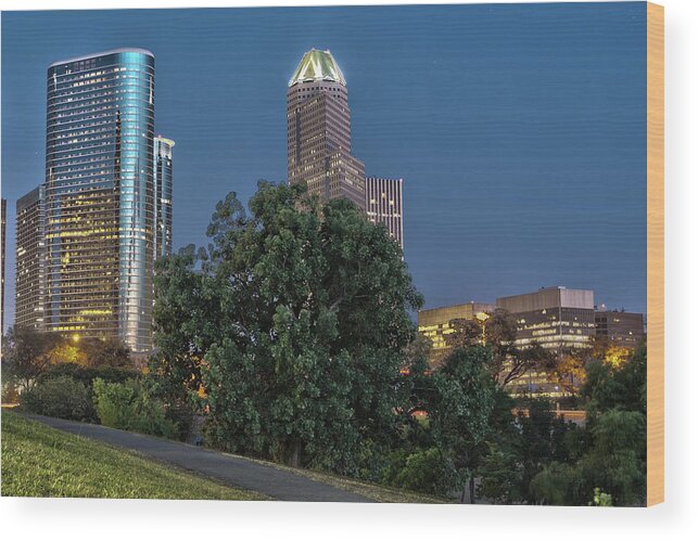 Cityscapes Wood Print featuring the photograph Houston Cityscape2 by James Woody