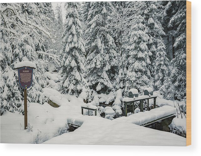 Abenteuer Wood Print featuring the photograph Huehnerbruehe, Harz by Andreas Levi