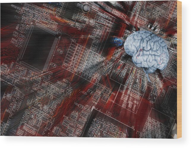 Intelligence Wood Print featuring the photograph Human Brain, Intelligence And Communication by Christian Lagereek