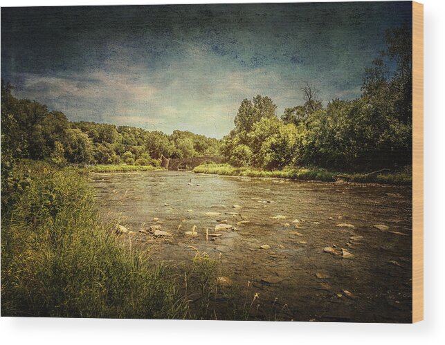 Humber River Wood Print featuring the photograph Humber River at Old Mill by Nicky Jameson