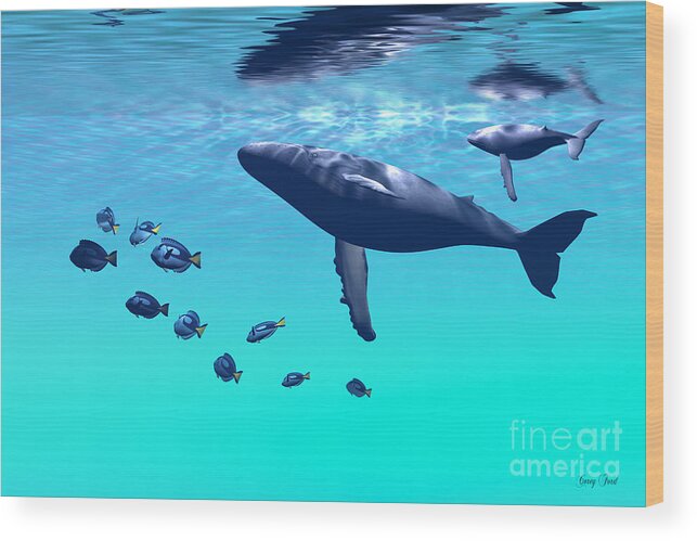 Humpback Whale Wood Print featuring the painting Humpback Whales by Corey Ford