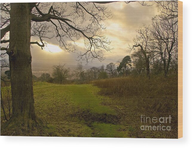 Sunset Wood Print featuring the photograph I follow the sunset. by Elena Perelman