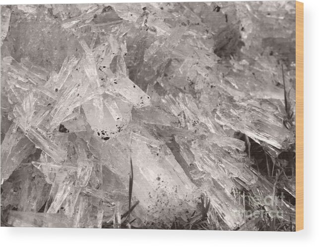  Wood Print featuring the photograph Ice Crystals by Heather Kirk