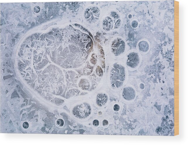 Ice Wood Print featuring the photograph Ice pattern one by Davorin Mance