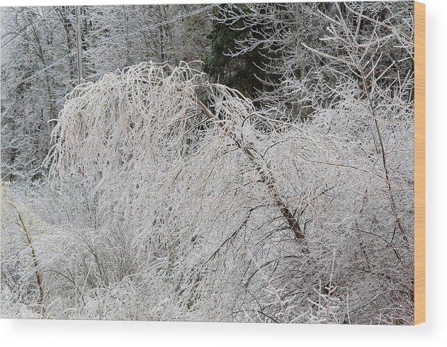 Winter Branches Wood Print featuring the photograph Ice World Inspiration by Kathi Mirto