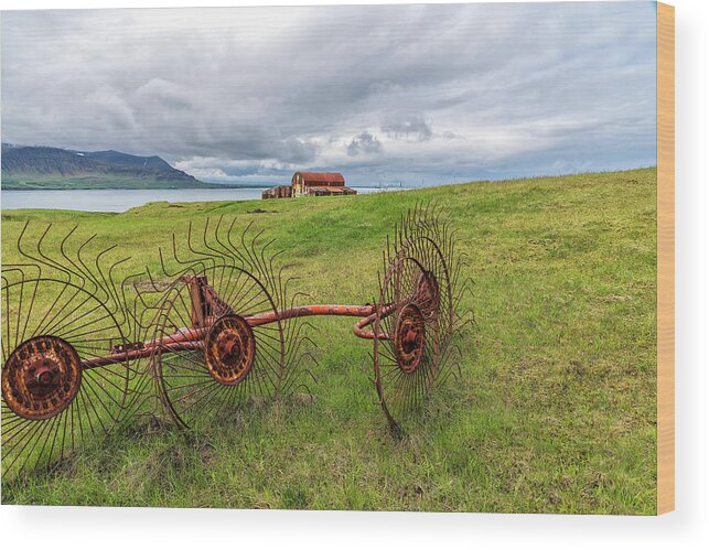 Iceland Wood Print featuring the photograph Icelandic Farm by Tom Singleton