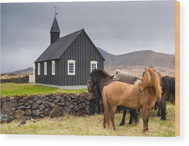 Budir Wood Print featuring the photograph Icelandic horses and Budir church Iceland by Matthias Hauser