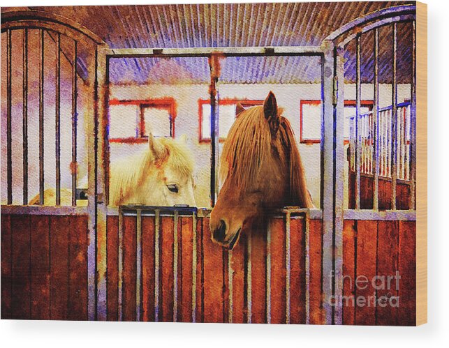 Horses Wood Print featuring the photograph Icelandic Horses of Hester-Stables 3 by Craig J Satterlee