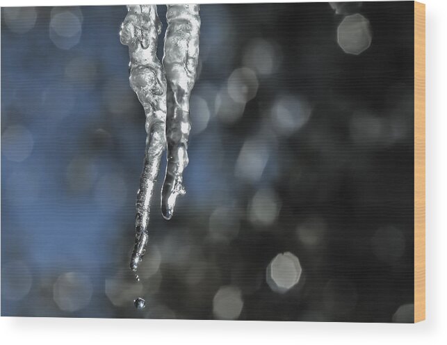 Icicles Wood Print featuring the photograph Icicles by Sherri Meyer