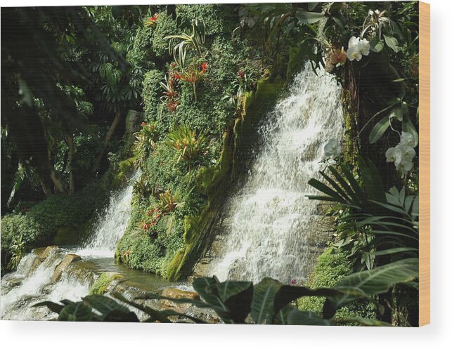 Waterfalls Wood Print featuring the photograph Immense Beauty by Lori Mellen-Pagliaro