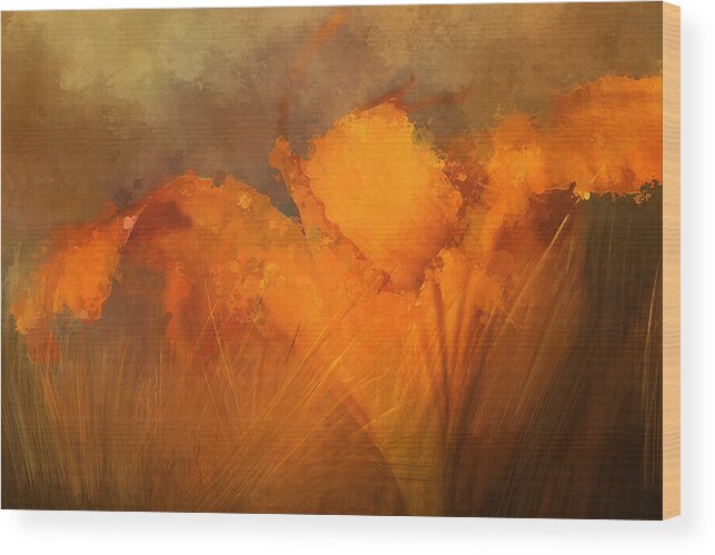 Flower Wood Print featuring the digital art Impressions of a Day Lily by Terry Davis