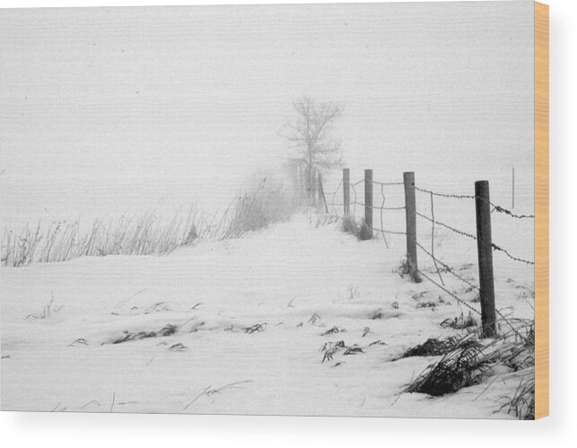 Landscape Wood Print featuring the photograph In Defense of Snow by Julie Lueders 