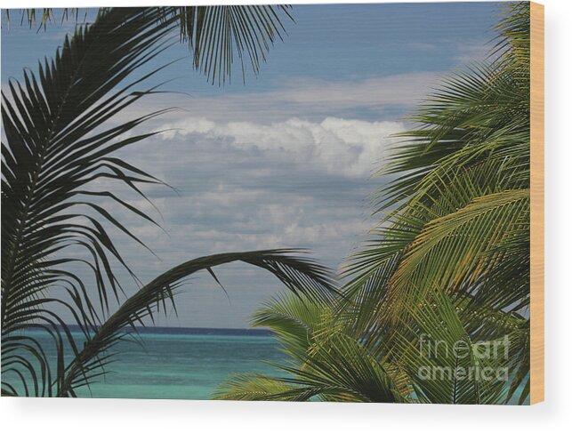 Mexico Wood Print featuring the photograph In the clouds by Wilko van de Kamp Fine Photo Art