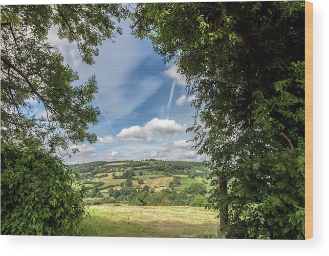 Rural Wood Print featuring the photograph In the English Cotswolds by W Chris Fooshee