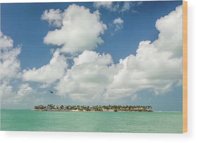 Key West Wood Print featuring the photograph In the Keys by Framing Places