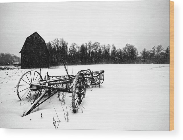 Landscape Wood Print featuring the photograph In the Snow by Robert Och