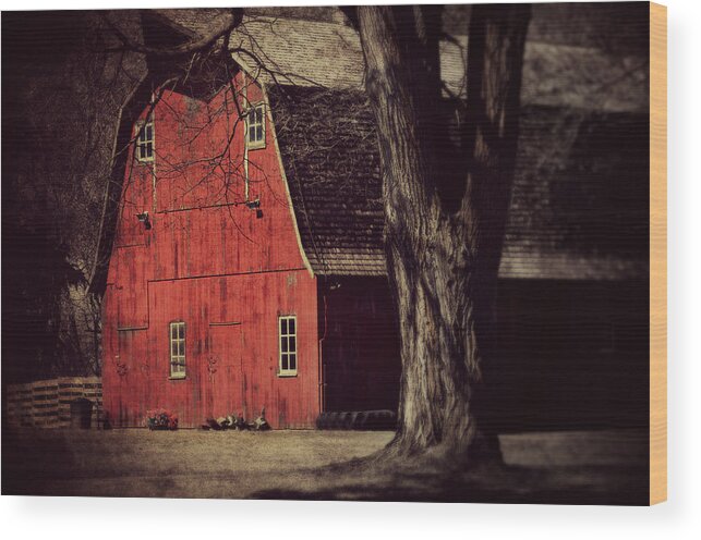Barn Wood Print featuring the photograph In the spotlight by Julie Hamilton