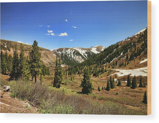 Independence Pass Wood Print featuring the photograph Independence Pass 3 by Judy Vincent