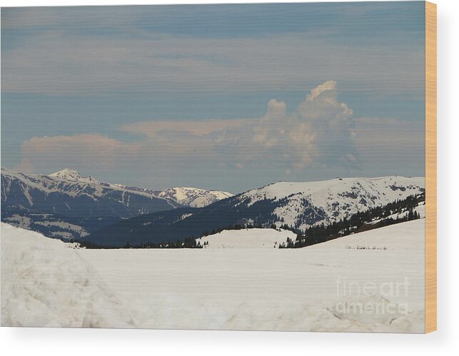  Colorado Wood Print featuring the photograph Independence Pass June 2016 by Christiane Schulze Art And Photography