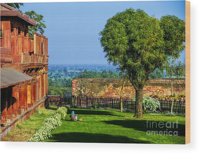 India Estates Green Areas Gardens Old English Wood Print featuring the photograph Indian Afternoon by Rick Bragan
