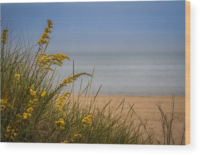 Beach Wood Print featuring the photograph Indiana Dunes on Lake Michigan by Ron Pate