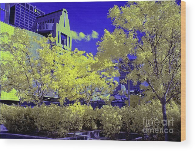 Infrared Photography Wood Print featuring the photograph Infrared City Park by FineArtRoyal Joshua Mimbs