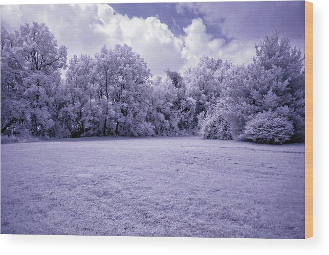 Infrared Wood Print featuring the photograph Infrared in Glasgow KY by Amber Flowers