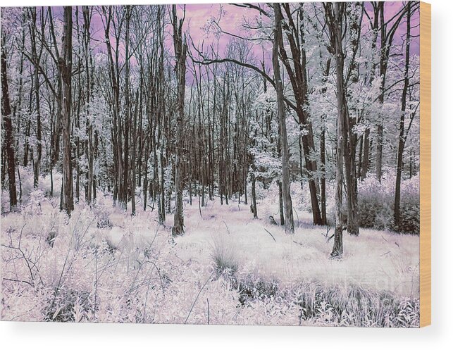 Infrared Wood Print featuring the photograph Infrared Magenta by Anthony Sacco