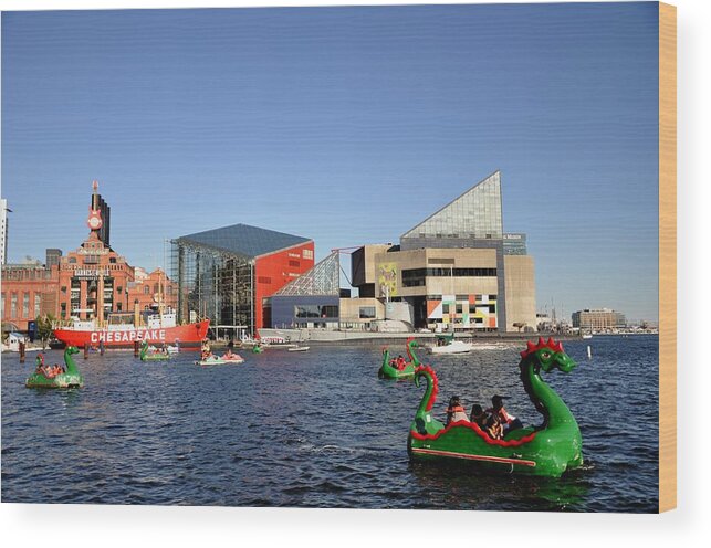 Inner Harbore Wood Print featuring the photograph Inner Harbor Dragon Boat by Andrew Dinh