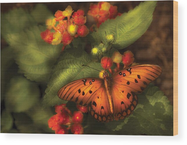 Savad Wood Print featuring the photograph Insect - Butterfly - Heliconius by Mike Savad