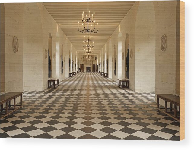 Chenonceaux Wood Print featuring the photograph Inside Chenonceau by Stephen Taylor