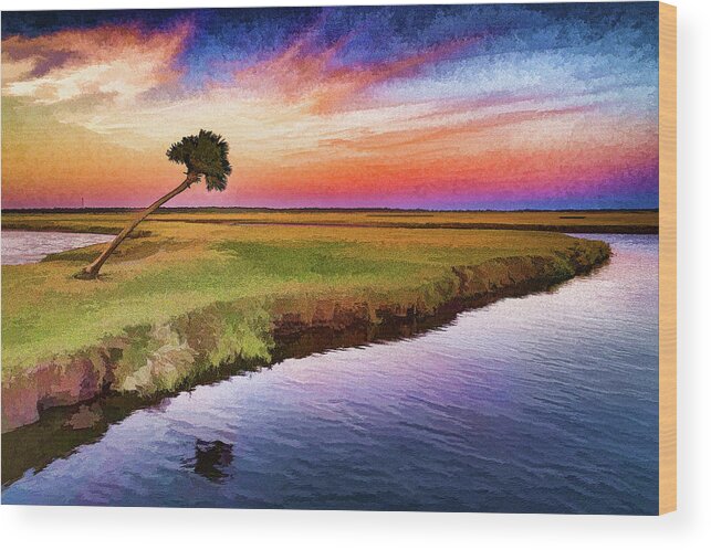 Florida Wood Print featuring the digital art St Johns River Palm Tree by Stefan Mazzola