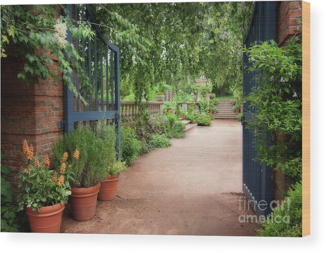 Into The Garden Wood Print featuring the photograph Into the Garden by Patty Colabuono