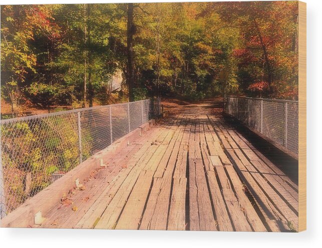 Nature Footpath Wood Print featuring the photograph Into the Woods we Go by Stacie Siemsen