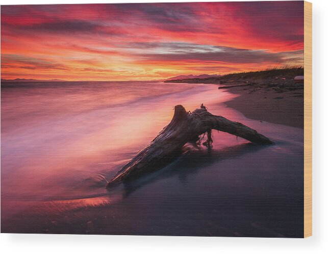 Vancouver Wood Print featuring the photograph Iona Beach Sunset by Alexis Birkill