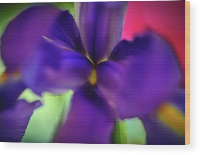 Flowers Wood Print featuring the photograph Iris Abstract by Michael Putnam