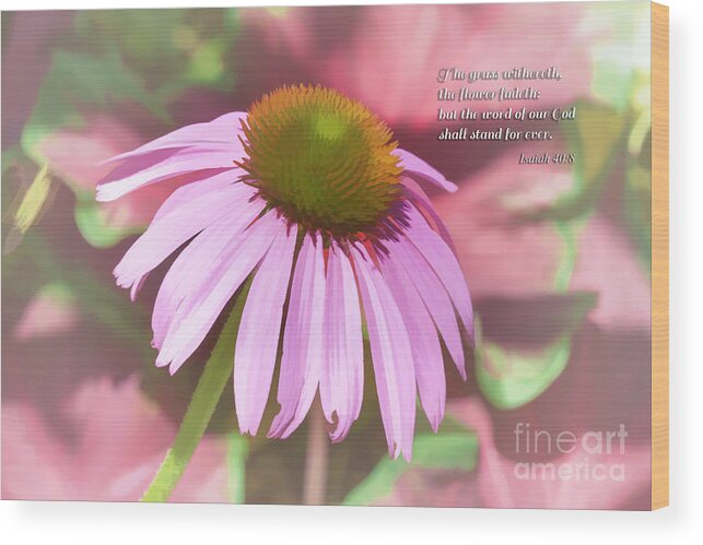 Flower Wood Print featuring the photograph Isaiah 40v8 by Diane Macdonald