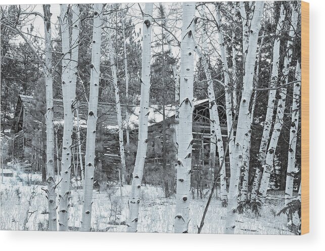 Historic Barns Wood Print featuring the photograph It Elicits A Feeling Of Nostalgia. by Bijan Pirnia