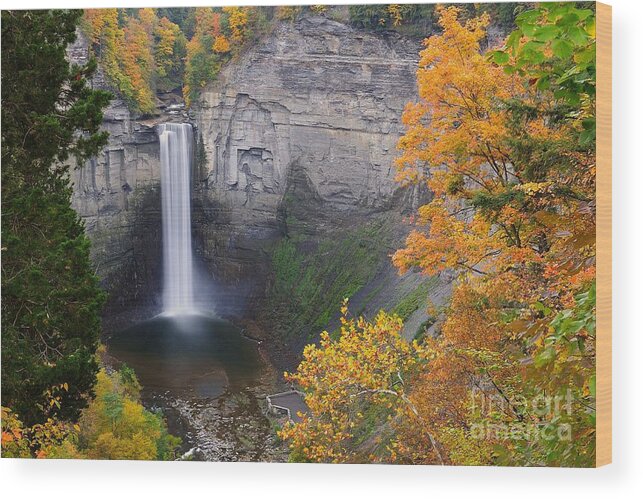 New York Wood Print featuring the photograph Ithaca is Gorges by Tom Schwabel